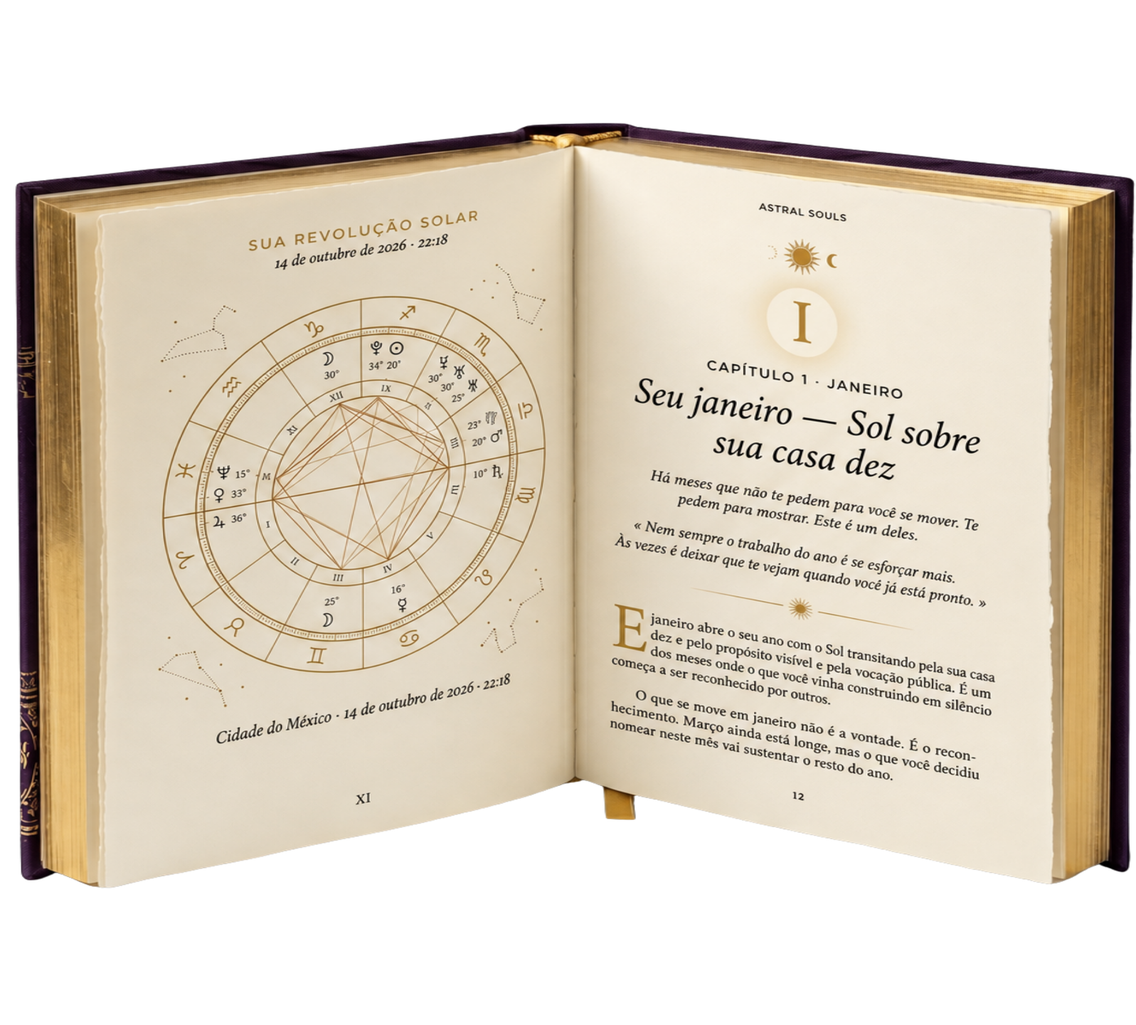 Livro Seu Ano Pessoal aberto no capítulo do mês