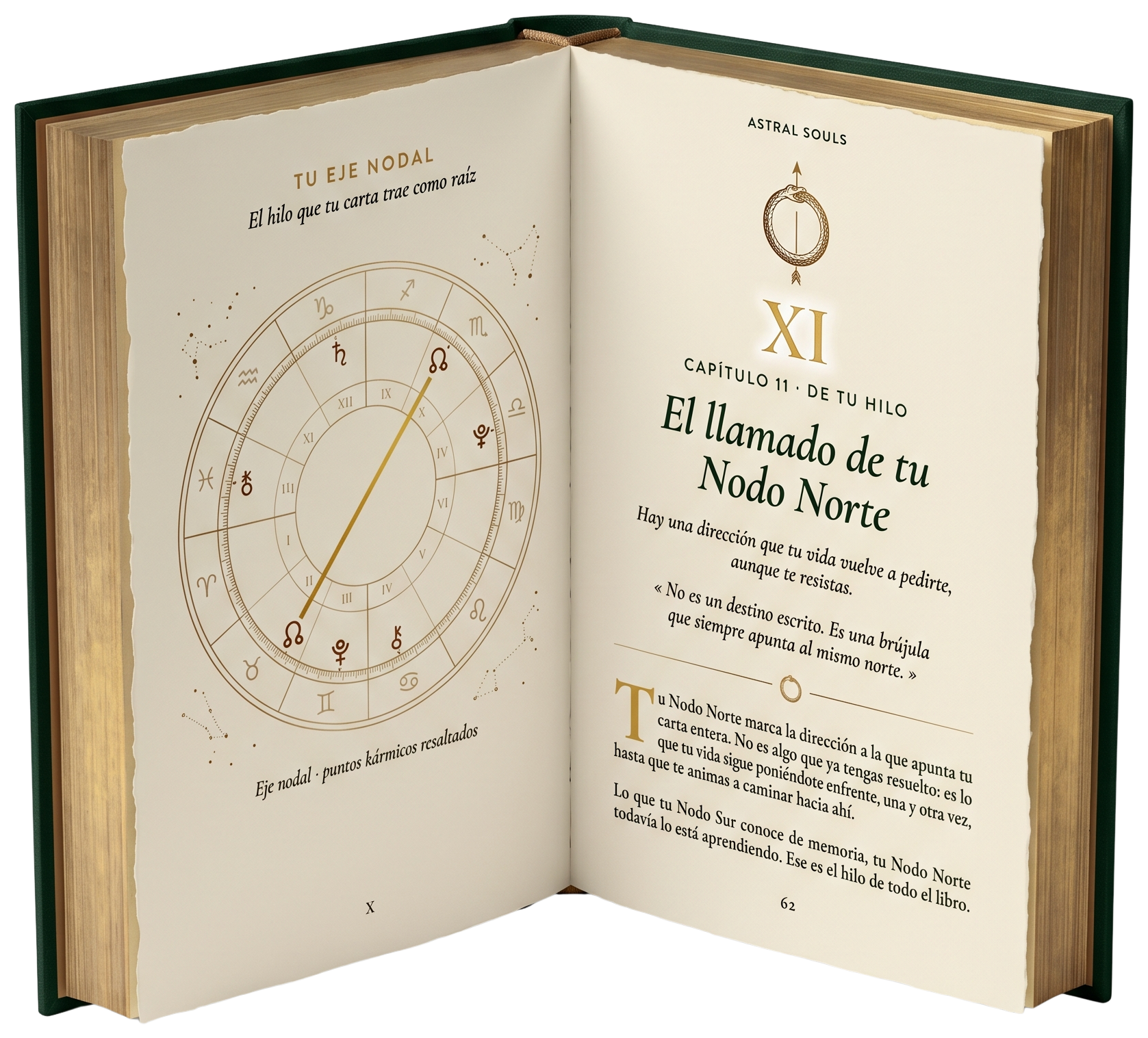 Libro Mapa Kármico abierto en el capítulo del Nodo Norte