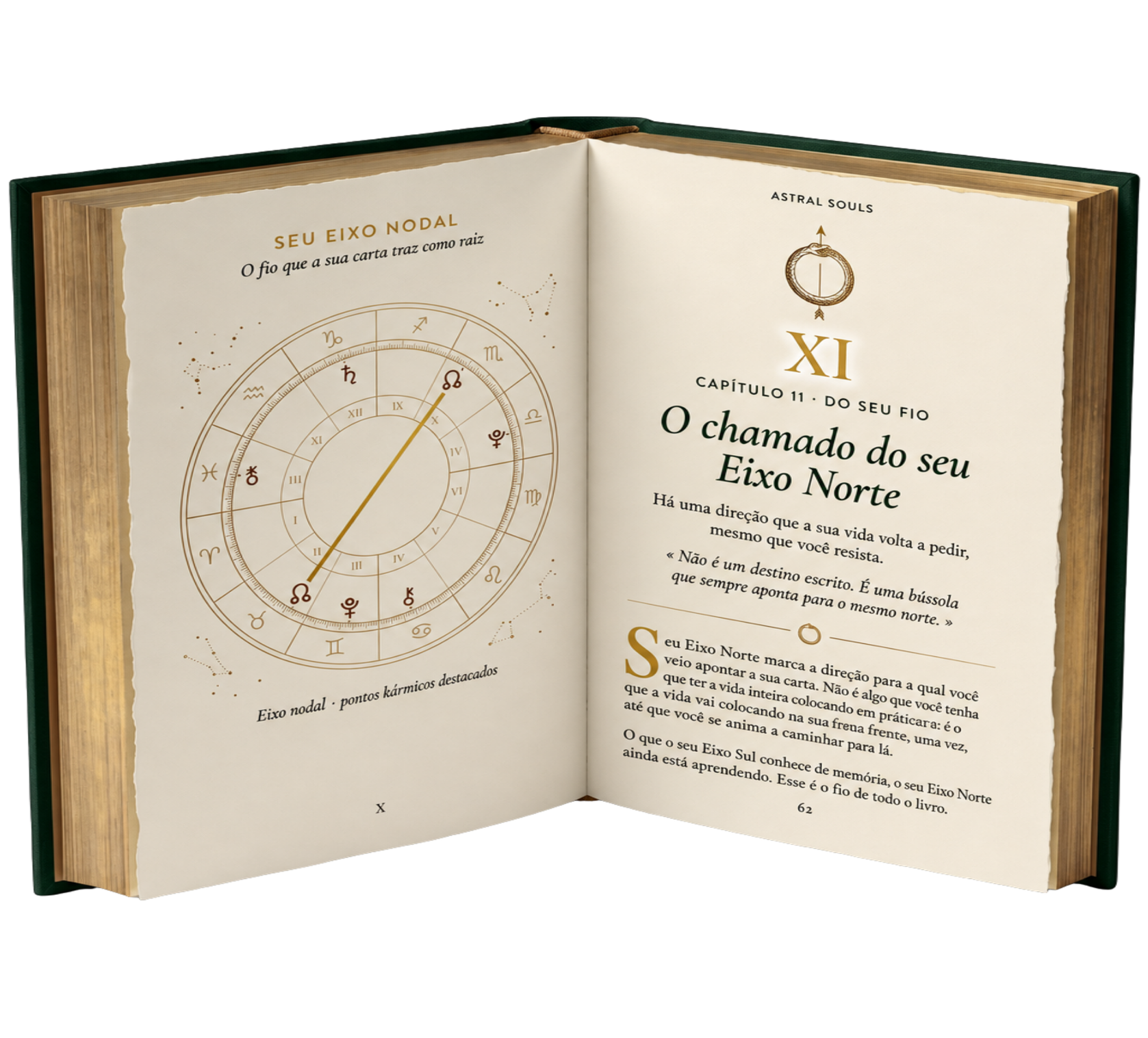Livro Mapa Cármico aberto no capítulo do Nodo Norte