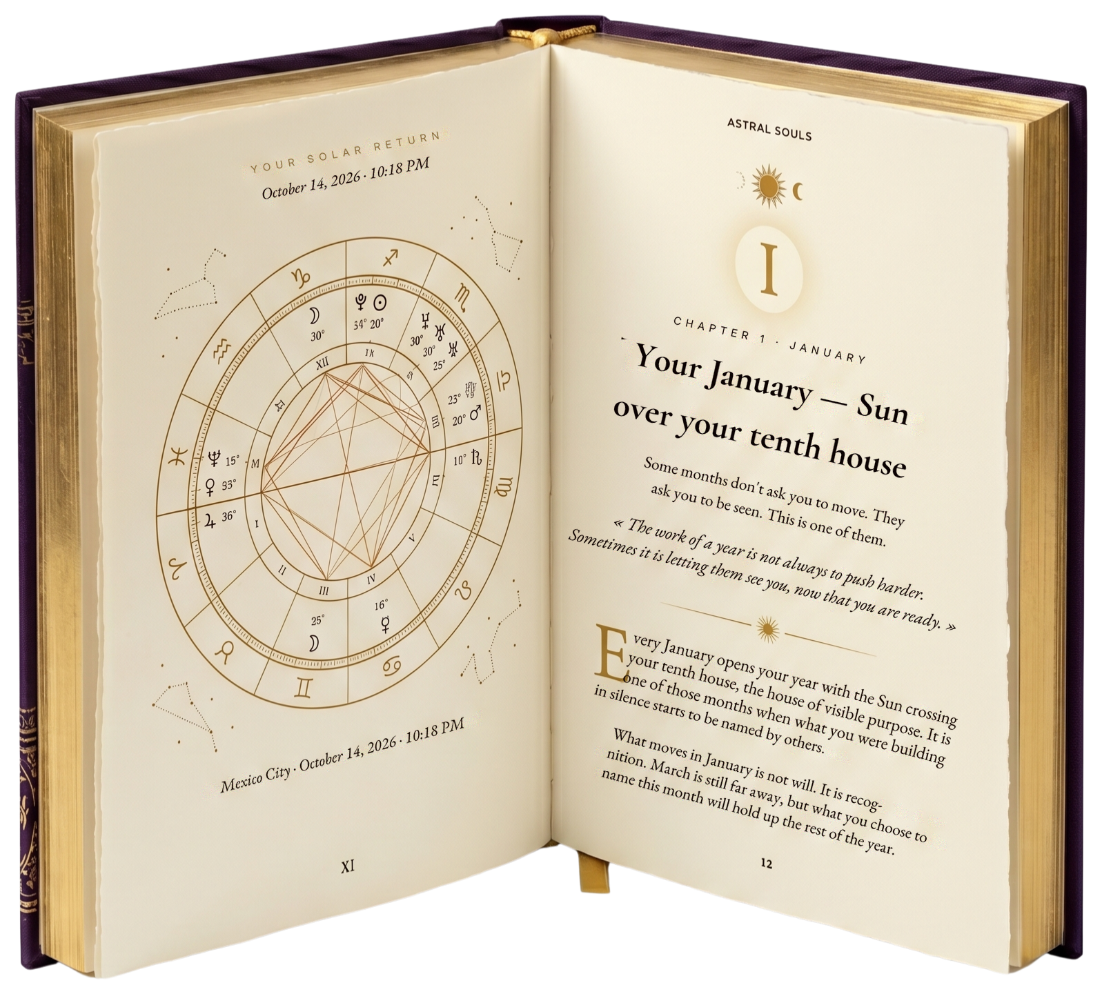 Your Personal Year book open to a month's chapter