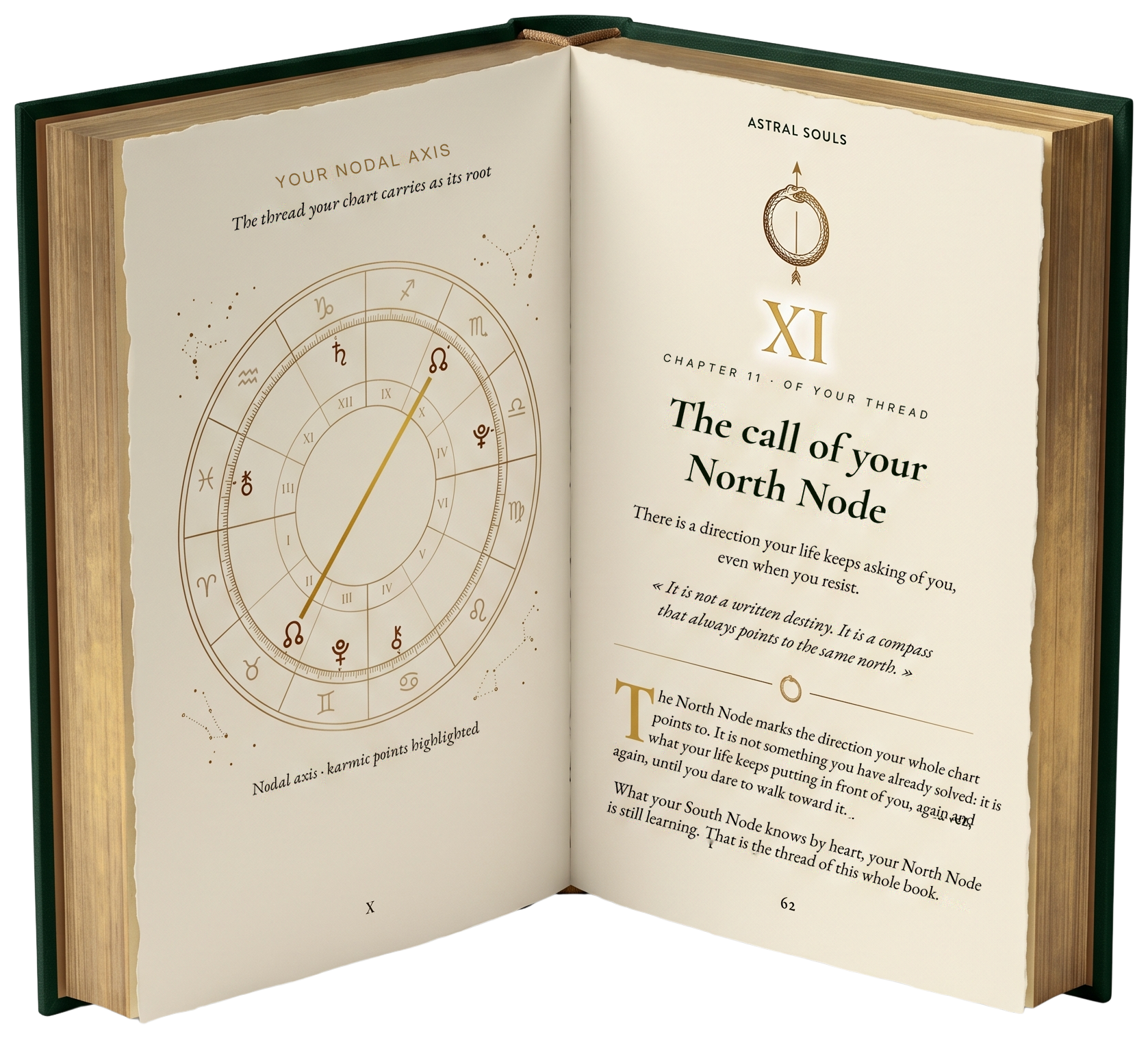 Karmic Map book open to the North Node chapter