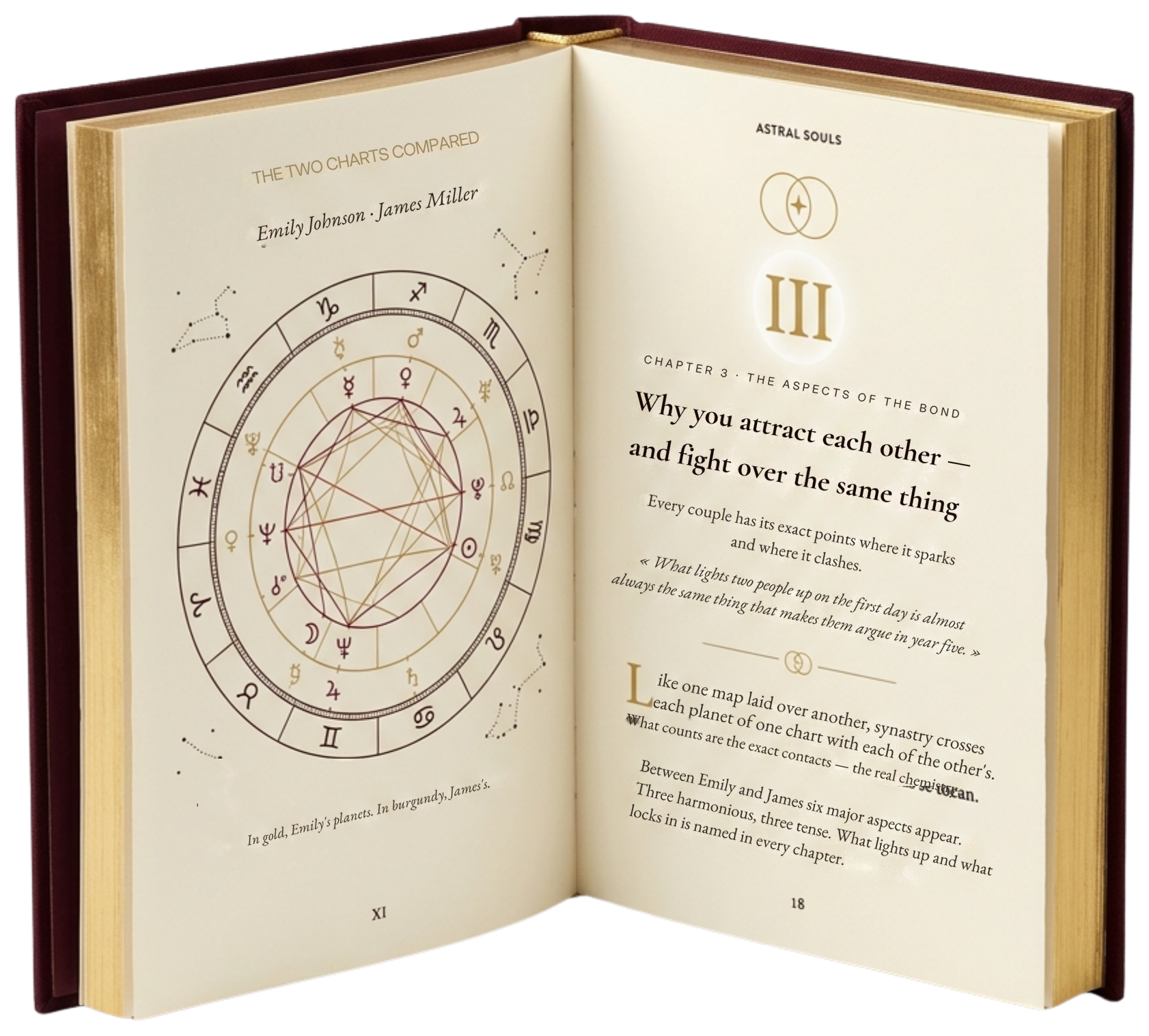 Couple's Synastry book open to the relationship wheel